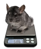 Library_of_Things__Brecknell_pocket_balance_electronic_scale